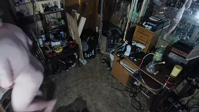 sex4fun 21 online show from March 2025 04:41:01 AM