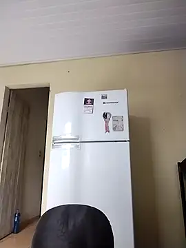 Snapshot of catdool chatting on February 2025 12:03:02 PM catdool online show from February 2025 12:03:02 PM