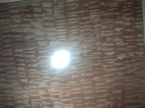 Snapshot of catdool chatting on September 2025 05:04:02 PM catdool online show from September 2025 05:04:02 PM