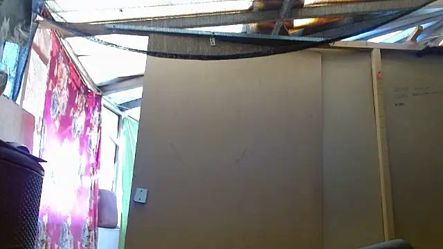 hardrock982 online show from January 2025 01:17:02 PM