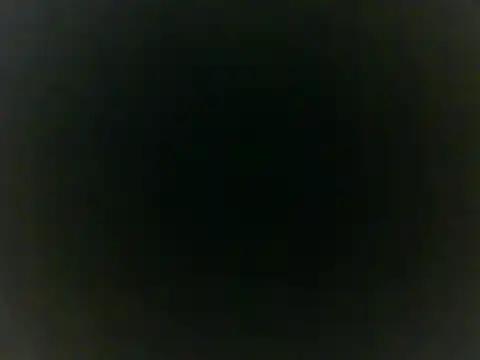 Snapshot of Insomniacl chatting on February 2025 06:13:02 AM Insomniacl online show from February 2025 06:13:02 AM