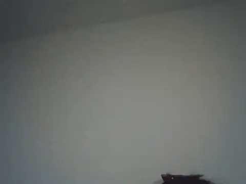 FallenDevil online show from November 2025 08:14:01 PM