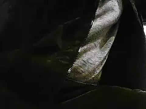 Snapshot of papiculo86 chatting on January 2025 09:33:02 AM papiculo86 online show from January 2025 09:33:02 AM