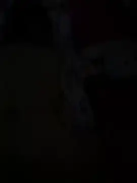 Romeo19190 online show from June 2026 02:39:01 AM