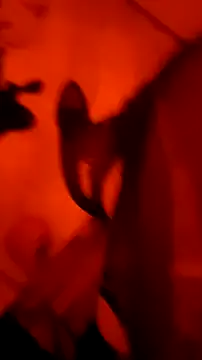 Misspadrona88 online show from March 2026 09:32:02 PM