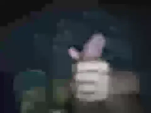 jheisonct online show from April 2026 03:59:01 AM