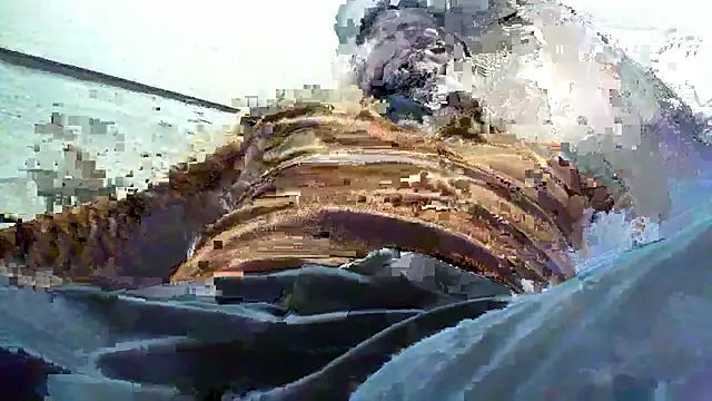 Snapshot of Billywax chatting on January 2026 09:11:01 AM Billywax online show from January 2026 09:11:01 AM