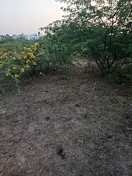 rameshmry1 online show from March 2026 12:34:01 PM