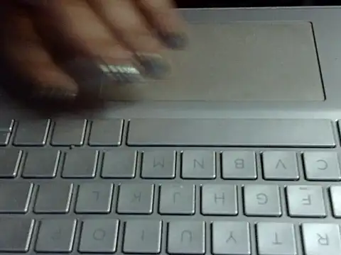 Your wild Dia online show from February 2026 07:11:01 PM