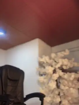 Ambar pe  online show from November 2025 10:36:02 AM