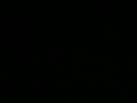 THEPRINCEOFSEXExh online show from October 2025 09:37:02 PM