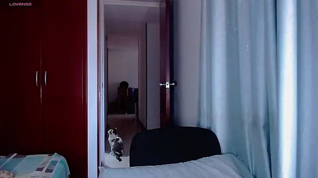 TastyTrap 18 online show from June 2026 03:47:02 PM