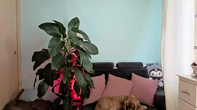 melisa es online show from February 2026 02:54:01 PM