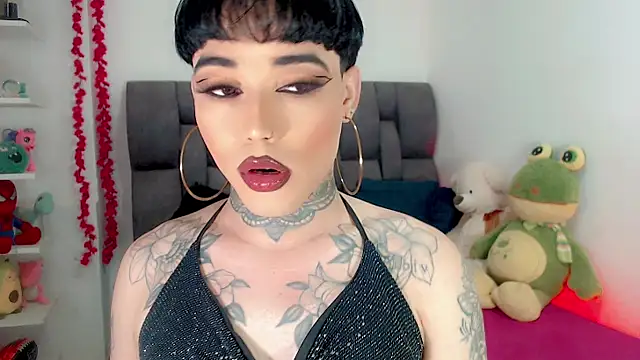 little star porn online show from February 2026 03:22:01 AM