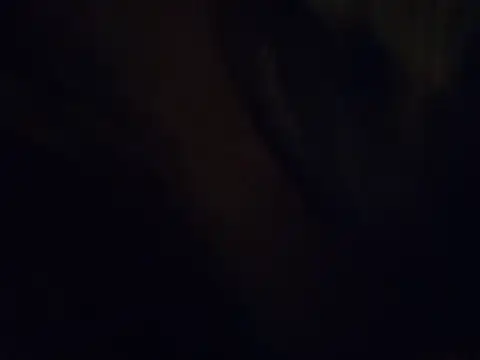 420pussylickr online show from July 2026 03:38:01 AM