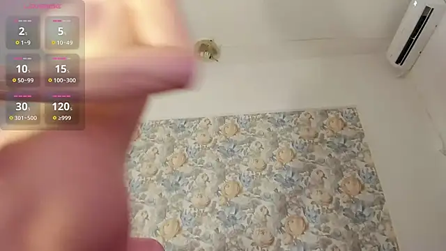 illegal lorry online show from February 2026 05:26:01 AM