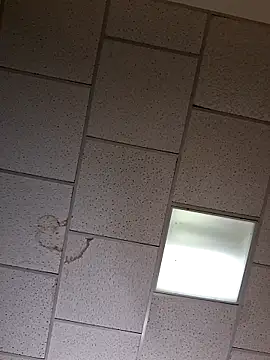 curiouscock38 online show from October 2025 08:42:01 AM