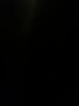 Furdale online show from December 2024 05:52:01 PM