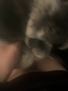 Furdale online show from December 2024 04:00:01 PM