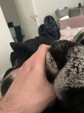 Furdale online show from December 2024 01:07:02 PM