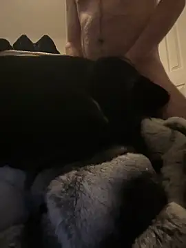 Furdale online show from December 2024 03:35:01 PM