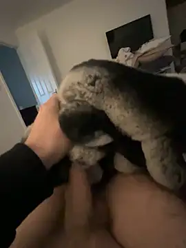 Furdale online show from January 2025 02:41:01 PM