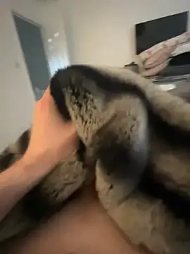 Furdale online show from February 2025 09:46:01 AM