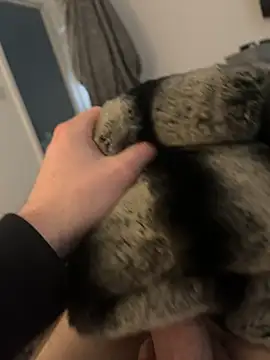 Furdale online show from February 2025 02:54:01 PM