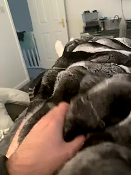 Furdale online show from September 2025 04:29:01 PM