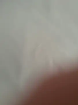 Furdale online show from October 2025 10:49:01 AM