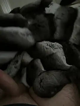 Furdale online show from January 2026 02:44:01 PM