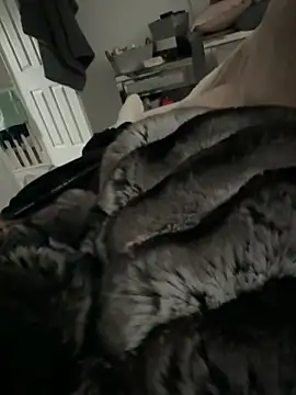 Furdale online show from March 2026 03:16:02 PM