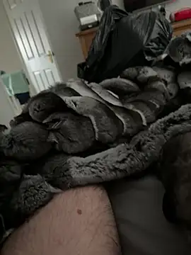 Furdale online show from March 2026 02:43:01 PM