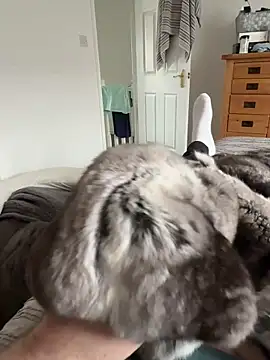 Furdale online show from June 2026 03:16:01 PM