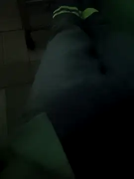 N-lS online show from March 2026 06:14:02 PM