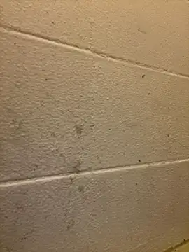 Snapshot of Greedy187nMs211 chatting on December 2025 07:47:01 AM Greedy187nMs211 online show from December 2025 07:47:01 AM