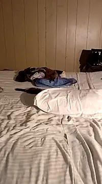 Snapshot of Jasmine_FullsShine chatting on March 2025 11:18:02 PM Jasmine FullsShine online show from March 2025 11:18:02 PM