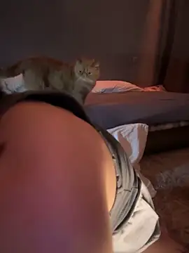 Snapshot of Bastet chatting on January 2025 09:51:02 PM Bastet online show from January 2025 09:51:02 PM