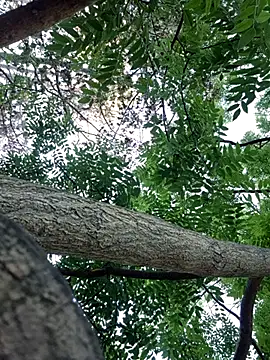 Snapshot of Keli_Jessi chatting on September 2025 01:21:01 PM Keli Jessi online show from September 2025 01:21:01 PM