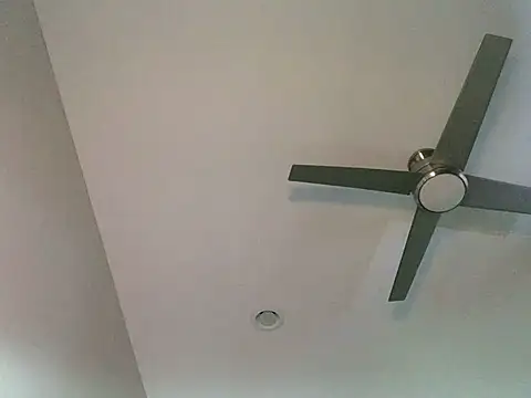 Londonfrotadejr online show from March 2025 12:45:01 PM