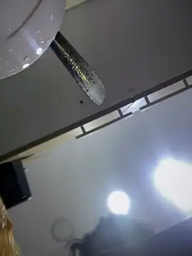 Snapshot of Tayra_Siny chatting on February 2025 12:47:01 PM Tayra Siny online show from February 2025 12:47:01 PM