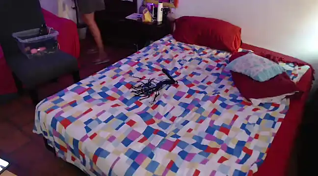 deftoolceles online show from March 2025 07:35:02 PM