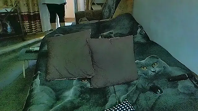 sex2 online show from November 2025 07:36:02 AM