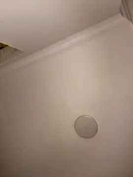 Drkats online show from March 2026 01:53:01 AM