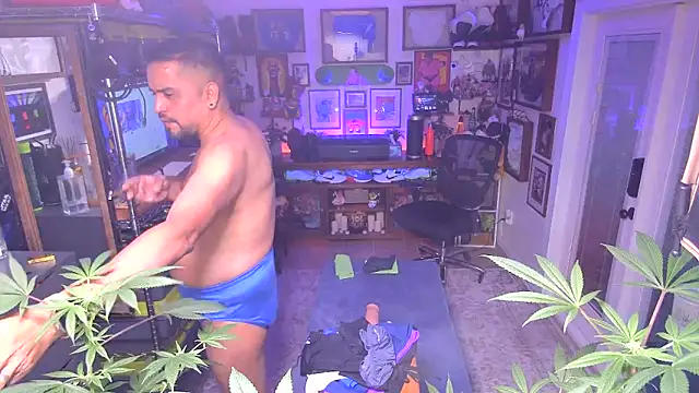 Snapshot of Briefs_bud chatting on December 2024 03:19:01 AM Briefs bud online show from December 2024 03:19:01 AM