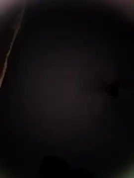 Snapshot of Pitercom chatting on October 2025 09:04:02 PM Pitercom online show from October 2025 09:04:02 PM