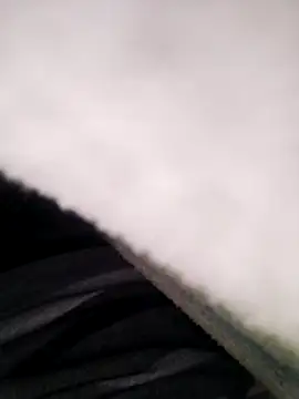 Snapshot of Pitercom chatting on November 2025 08:41:01 PM Pitercom online show from November 2025 08:41:01 PM