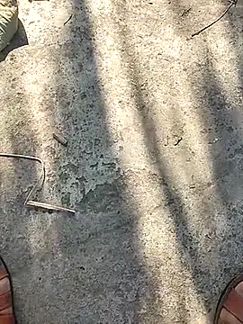 Snapshot of Pitercom chatting on November 2025 09:10:02 AM Pitercom online show from November 2025 09:10:02 AM