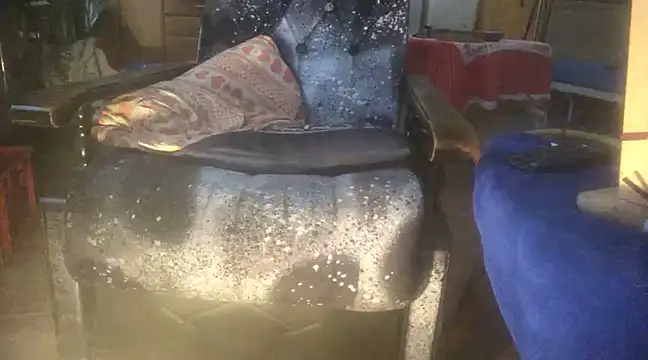 translove online show from January 2025 07:52:02 AM