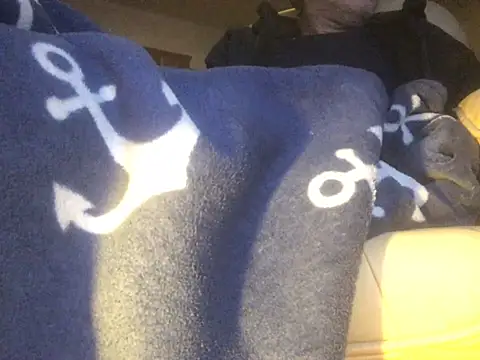 translove online show from February 2025 08:05:01 PM